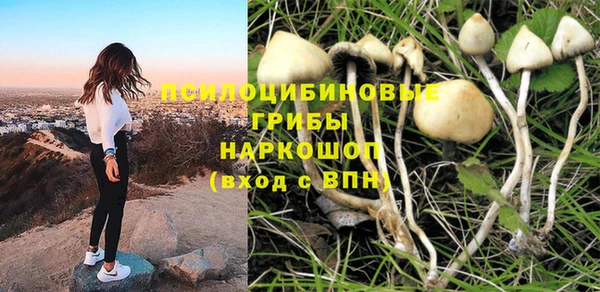 spice Балабаново